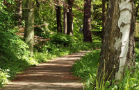 Auszeit - das Retreat um bei dir anzukommen