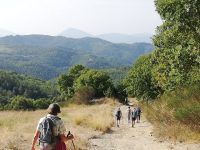 Fürchte Dich nicht, meine Tochter! - Bibel hautnah!