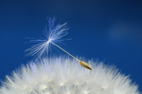 Gib deinem Körper eine Pause und deiner Seele Raum - Februar