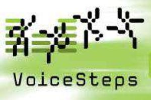 Wir unterstützen die Musikschule Voice Steps