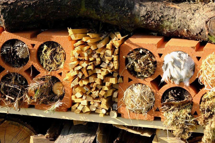 Mattli_Antoniushaus_Hotel_Restaurant_Seminar_Bildung_Morschach